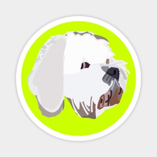 Bichon Frise Mix Dog Abstract Portrait Lime Magnet